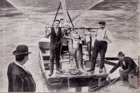 1908 - Dopisnice z rybárny na jubilejní výstavě v Kroměříži